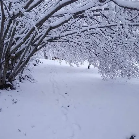 Con Vista Sul Cimone Daire