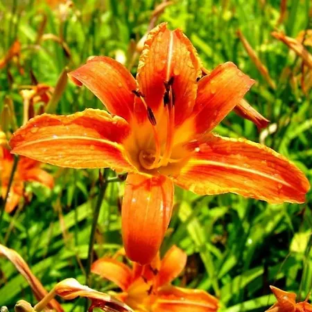 Con Vista Sul Cimone Fiumalbo