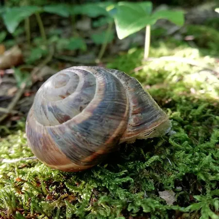 Daire Con Vista Sul Cimone