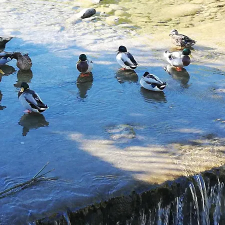 Con Vista Sul Cimone Daire *