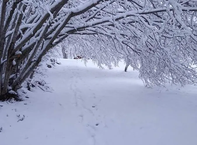 Con Vista Sul Cimone Apartament