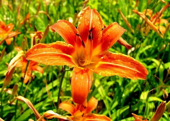 Con Vista Sul Cimone Fiumalbo