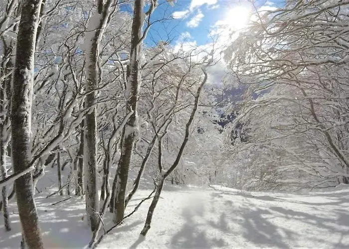 Con Vista Sul Cimone * Fiumalbo