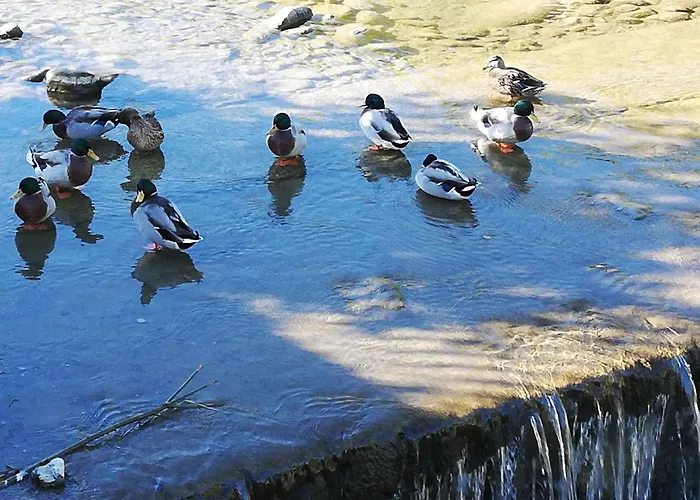 Con Vista Sul Cimone Lejlighed *